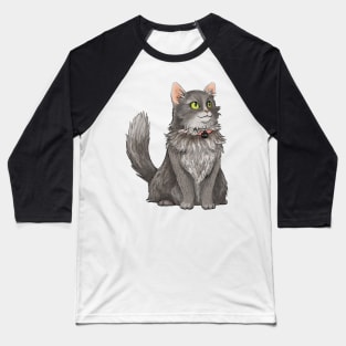 Fluffy Grey Cat Pet Portrait Baseball T-Shirt